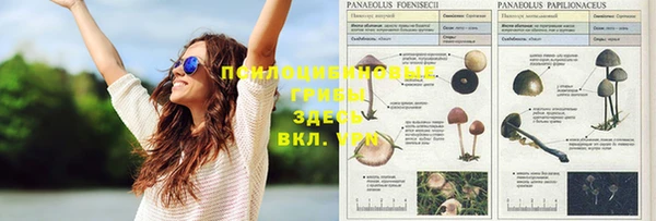 круглые Новодвинск