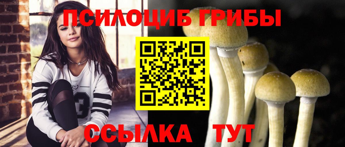 Лениногорск  Галлюциногенные грибы GOLDEN TEACHER  Вход с VPN 